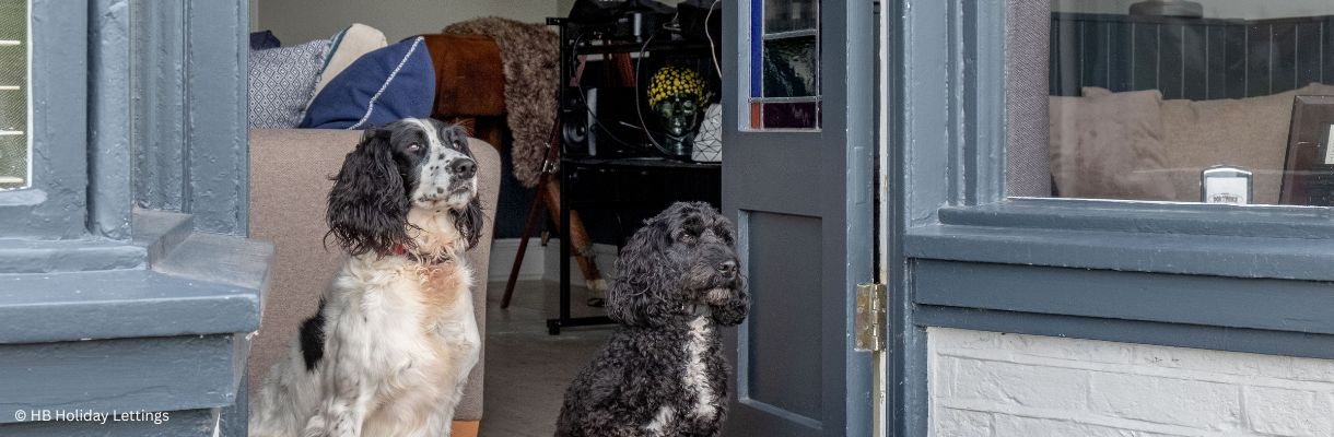 Dogs on doorstep of HB Holiday Lettings property - Dog friendly holidays UK